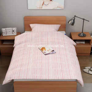 Giường Ngủ 1m2 X 2m Fhgncn(18)